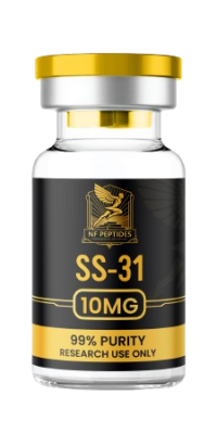 SS-31-removebg-preview SS-31-removebg-preview